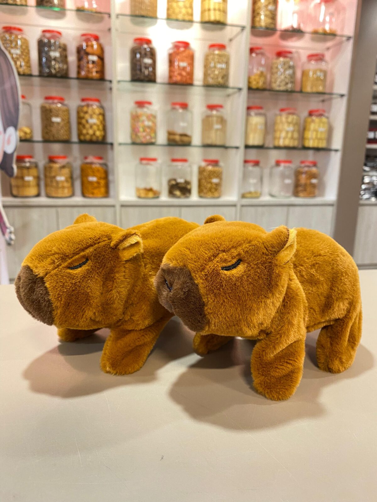 【包含电池】玩具卡皮巴拉 capybara toys