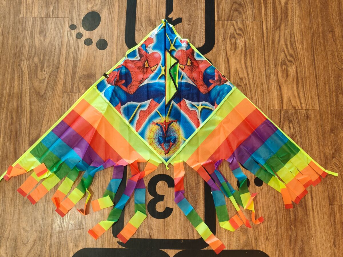 卡通风筝(1.2m) cartoon kite