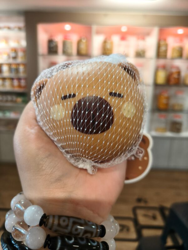 卡皮巴拉捏捏乐 capybara squeeze toys
