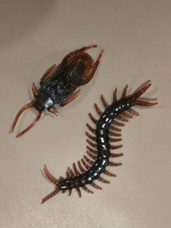 恶整小昆虫 prank insert rubber toys