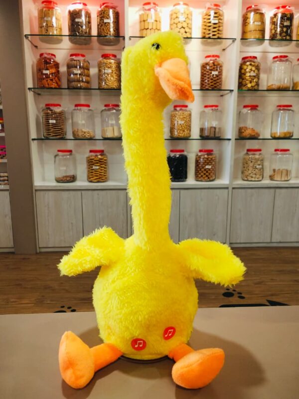 会说话跳舞的玩具 dancing singing toys