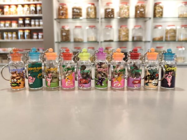 贝壳海螺许愿瓶钥匙圈 seashell bottle keychain